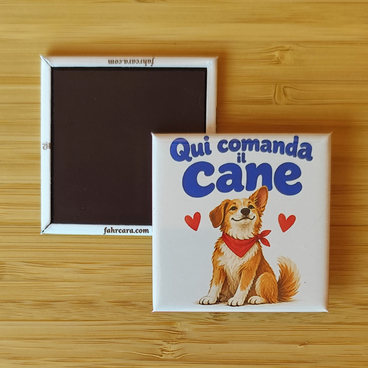 Calamita Qui comanda il cane — Amici di zampa, Fahrcara — fronte stampato e retro magnetico affiancati.