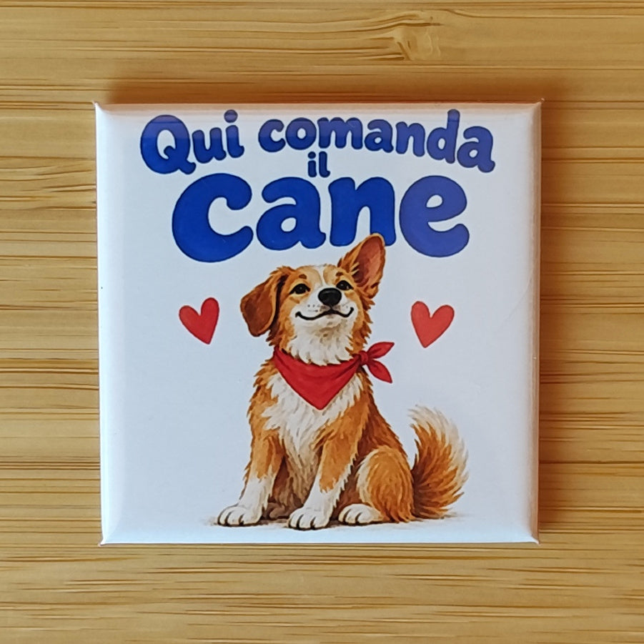 Calamita Qui comanda il cane — Amici di zampa, Fahrcara — vista frontale della calamita.