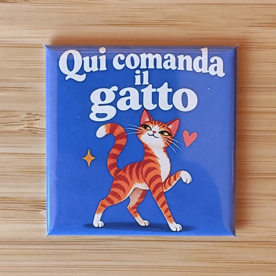 Calamita Qui comanda il gatto, variante arancio — Amici di zampa, Fahrcara — vista frontale della calamita.
