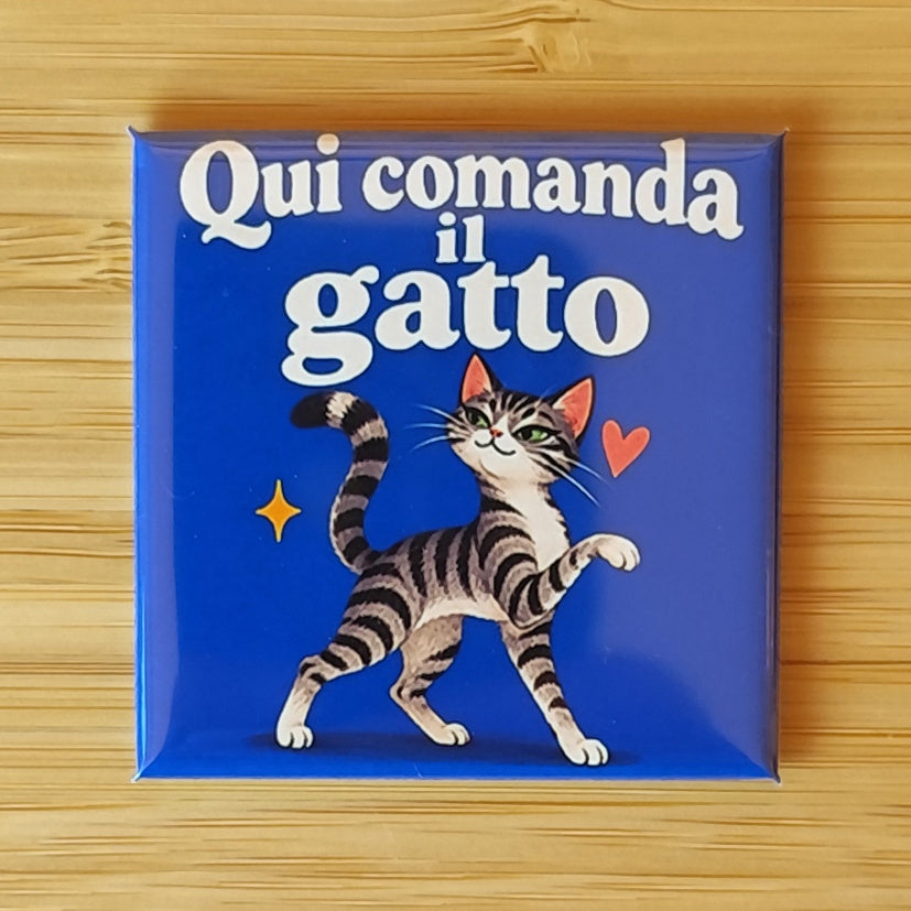 Calamita Qui comanda il gatto, variante grigio tigrato — Amici di zampa, Fahrcara — vista frontale della calamita.